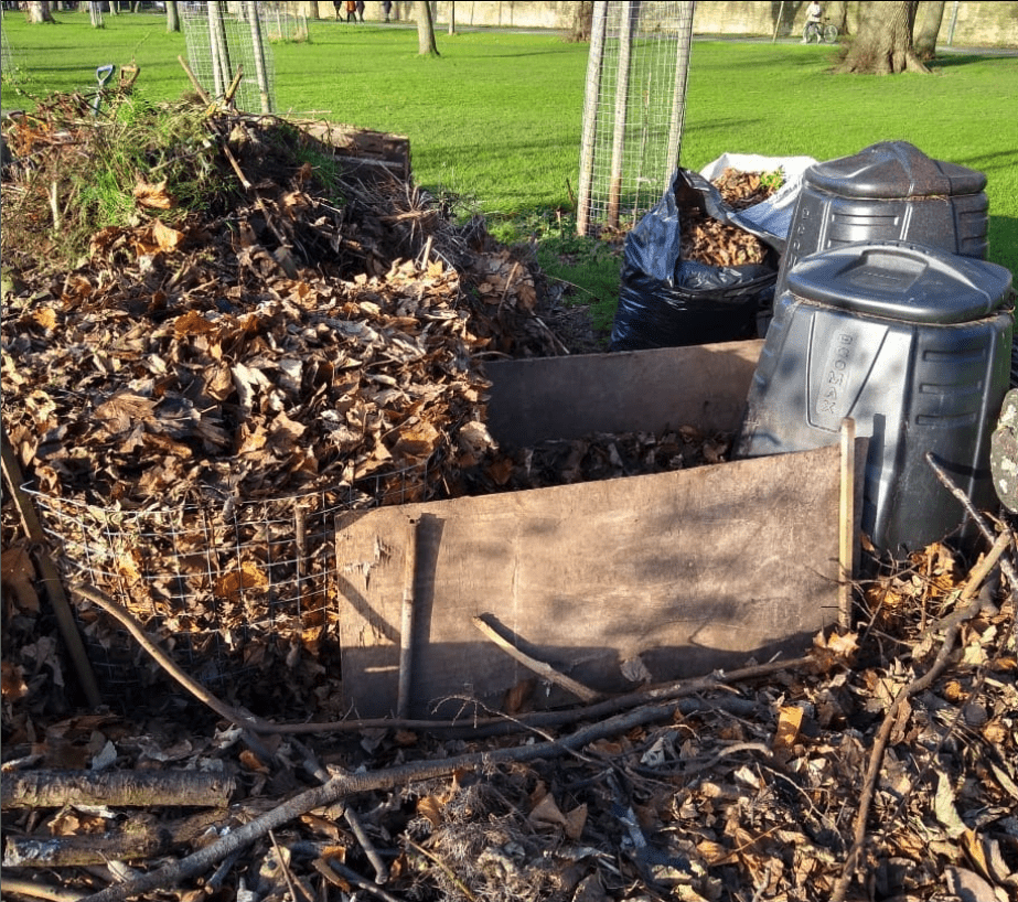 mulching leaves in the compost corner